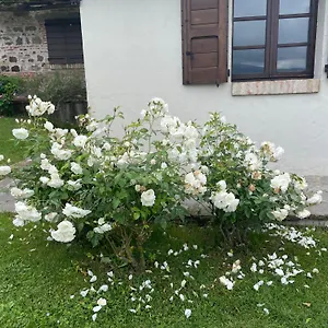  Casa di campagna Romantico Italia